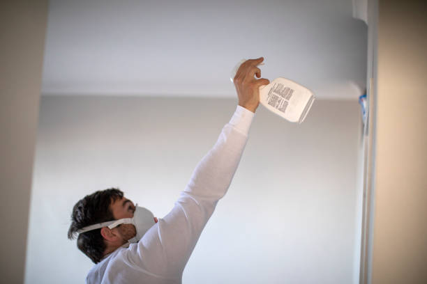 Best Black Mold Removal  in Egypt Lake Leto, FL