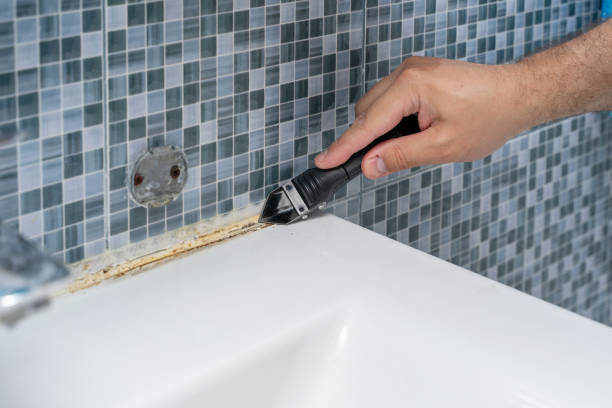 Best Office Mold Removal Services  in Egypt Lake Leto, FL