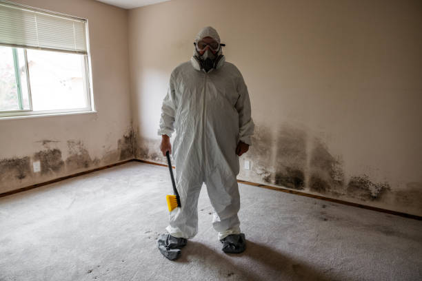 Mold Testing and Removal in Egypt Lake Leto, FL